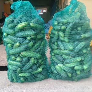 Ogórek gruntowy 5kg