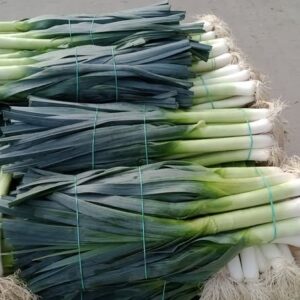 Por 1000szt (100wiązek )