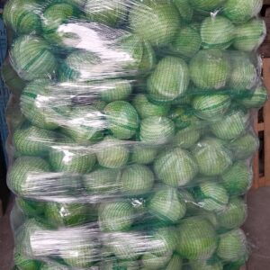 Kapusta (20kg worek) (200kg hurt)