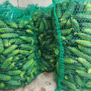 Ogórek gruntowy 5kg